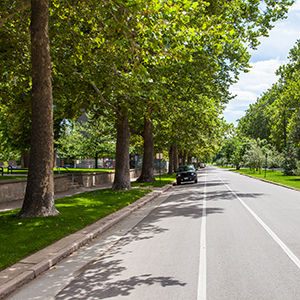 South Marion Street Parkway