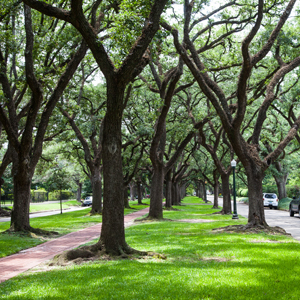 Broadacres Historic District