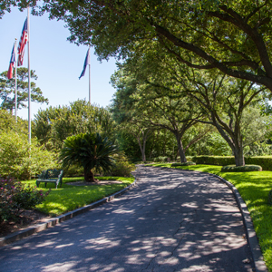 Glenwood Cemetery - Houston