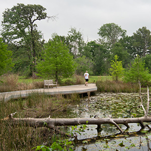 Houston Arboretum and Nature Center