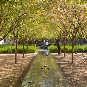 Raymond and Susan Brochstein Pavilion