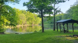 Ferncliff Forest, Rhinebeck, NY 