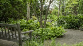 The Norma C. Siegler Healing Garden at The Gathering Place