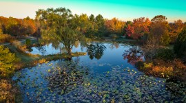 Holden Arboretum