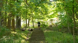 Garfield Park Reservation 