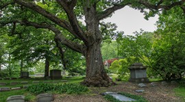 Lake View Cemetery 