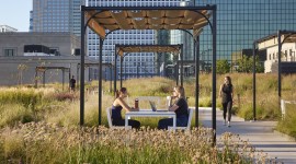 People sitting on a roof top garden. 