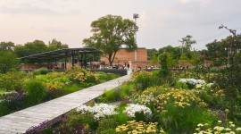 Boardwalk curves through garden toward pavilion in background; lush plants on either side.