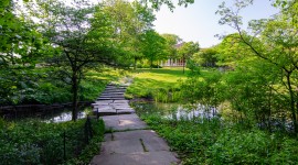 Stone path across a pond