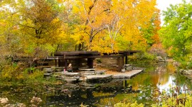 Pavilion over the pond in autumn