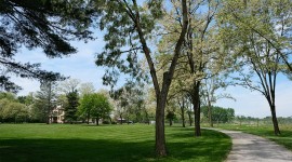 Curving path lined by trees; house in distance