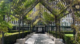 Arbor covered with wisteria