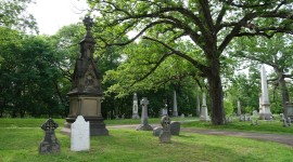 Grave markers on the left and in background; tree on the right