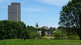 Man sits on a bench on a hilltop looking over the city; tree on the right