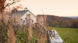 Black Oak Farm, Purcellville, VA
