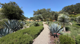 Valley Oak Ranch, Santa Ynez, CA