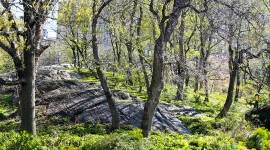 Riverside Park, New York City