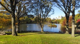 Central Park Lake, New York City