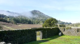 Jack London State Historic Park, Glen Ellen, CA