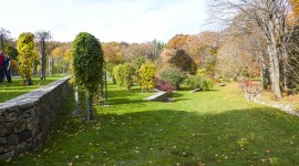 Arnold Arboretum, Boston, MA