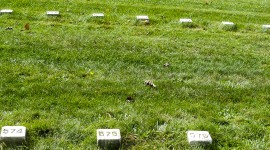 Soldiers' National Cemetery at Gettysburg, PA