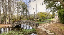 Jungle Gardens, Avery Island, LA