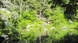 Manitoga, Garrison, NY