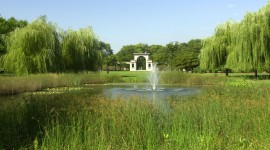 Douglas Park, Chicago, IL