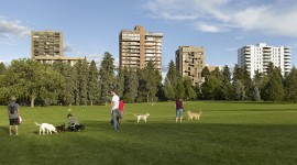 Cheesman Park, Denver, CO