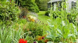 Polly Hill Arboretum