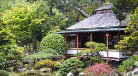 Japanese Tea Garden, Golden Gate Park, San Francisco