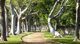 Beverly Gardens Park, Los Angeles, CA
