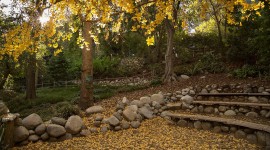 Mildred E. Mathias Botanical Garden, University of California, Los Angeles, CA