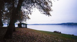 Lake Washington Boulevard, Seattle, WA