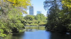 Back Bay Fens, Emerald Necklace, Boston, MA