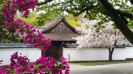 Shofuso Japanese House and Garden, Philadelphia