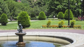 Boston Public Garden