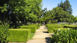 Bowden Park, Palo Alto, CA