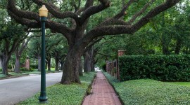 Broadacres Historic District, Houston, TX