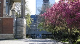Osgoode Hall Gardens, Toronto