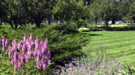 Jackson Park, Chicago, IL