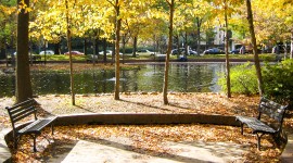 Southwest Duck Pond, Washington, D.C.