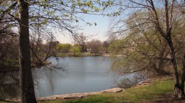 Jackson Park, Chicago, IL