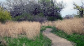 Jackson Park, Chicago, IL