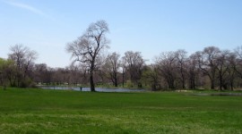 Washington Park, Chicago, IL