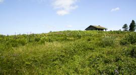 Beech Nut and Beech Hill, Rockport, ME