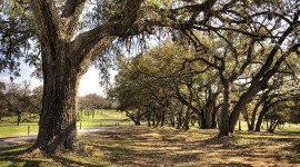 Lions Municipal Golf Course, Austin, TX