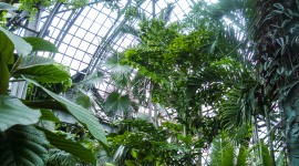 Lincoln Park Conservatory, Chicago, IL
