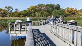 John Heinz National Wildlife Refuge at Tinicum, Philadelphia, PA