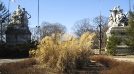 Franklin Park Zoo